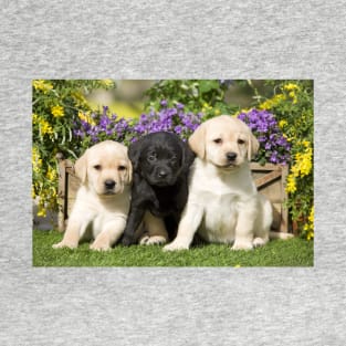 Three Puppies, Yellow and Black Labrador Retrievers T-Shirt